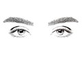 Woman eyes illustration. Beautiful woman with long eyelashes and thick eyebrows. Professional make-up and cosmetic skin care